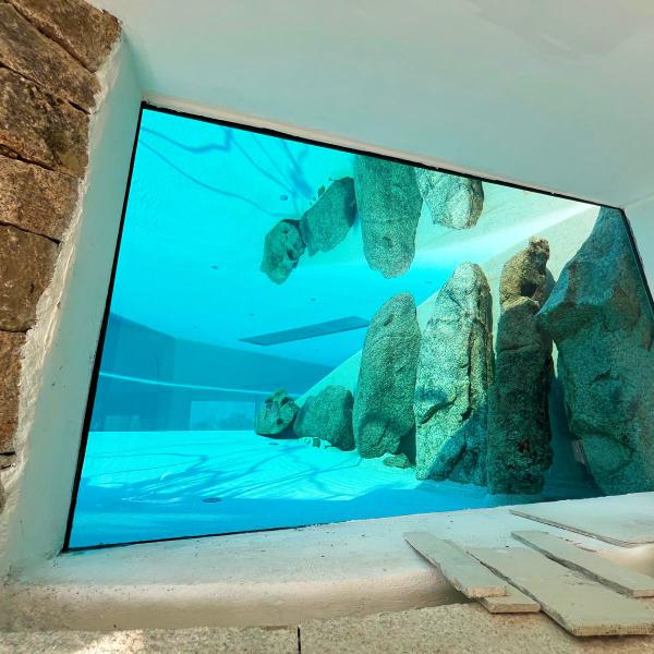 Vetri piscina